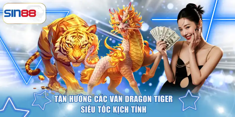 Tận hưởng các ván Dragon Tiger siêu tốc kịch tính